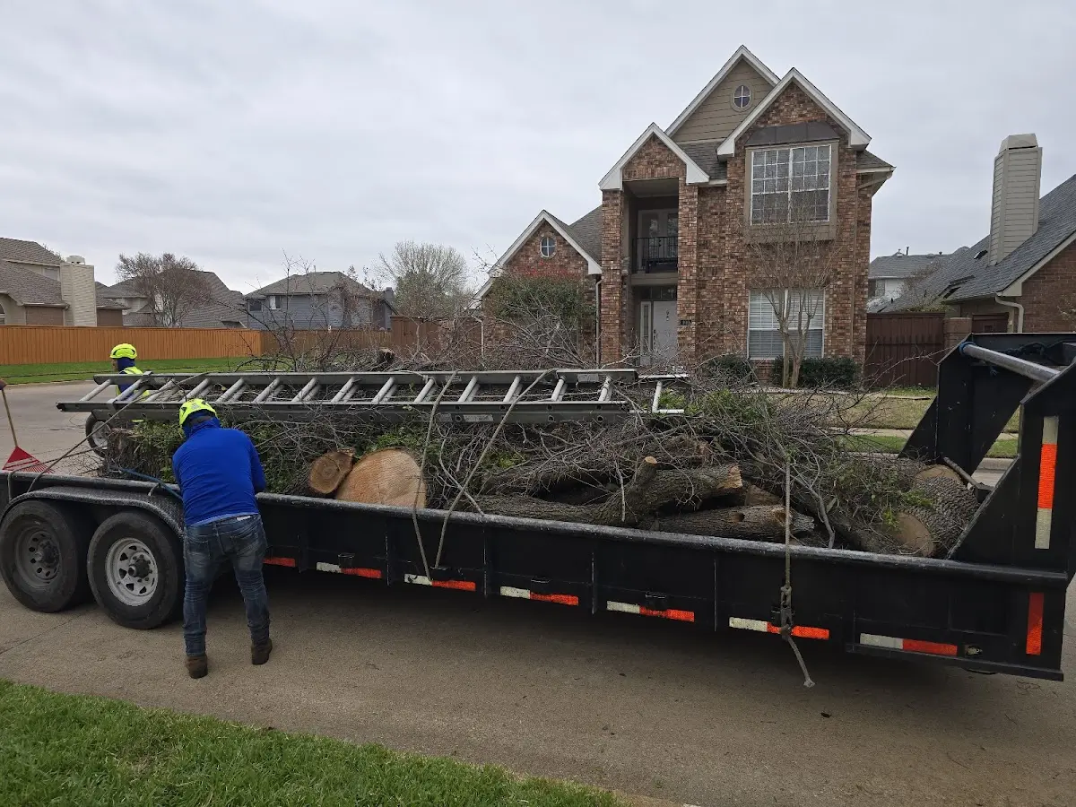 Expert Tree Fertilization with proper safety equipment in Cantrall